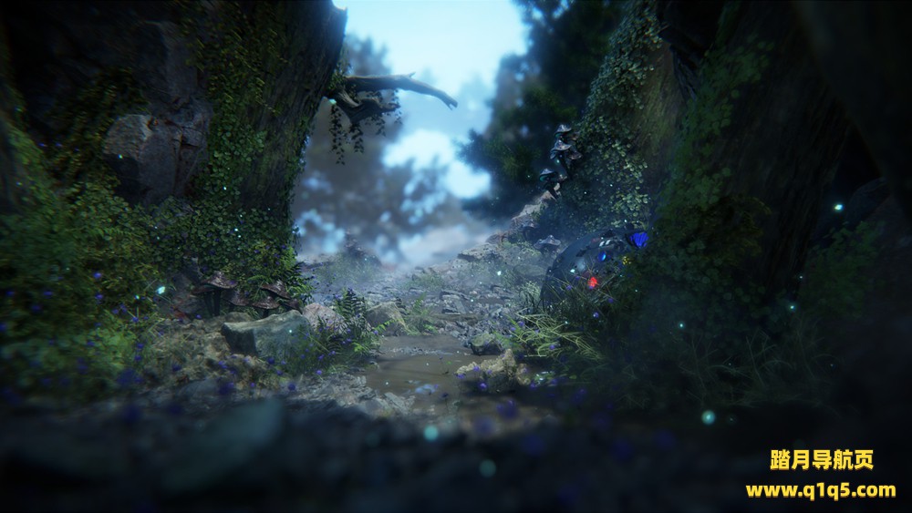 寻找黎明（Seeking Dawn）