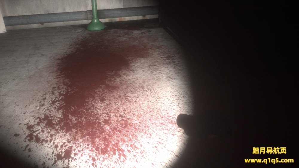 瓦尔基里计划 (Project Valkyrie VR)