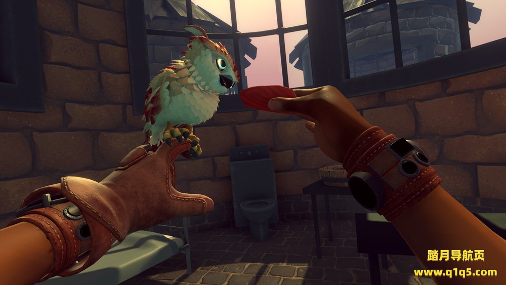 猎鹰时代 (Falcon Age VR)