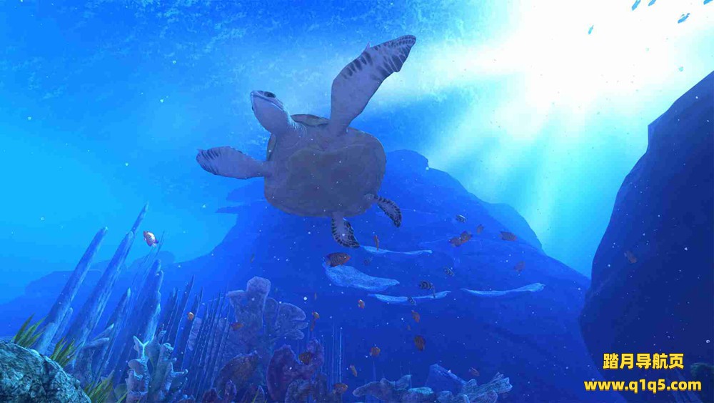 深蓝海底VR (The Blu)