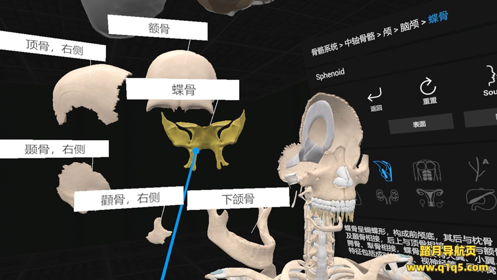 日常解剖 VR (Everyday Anatomy VR)