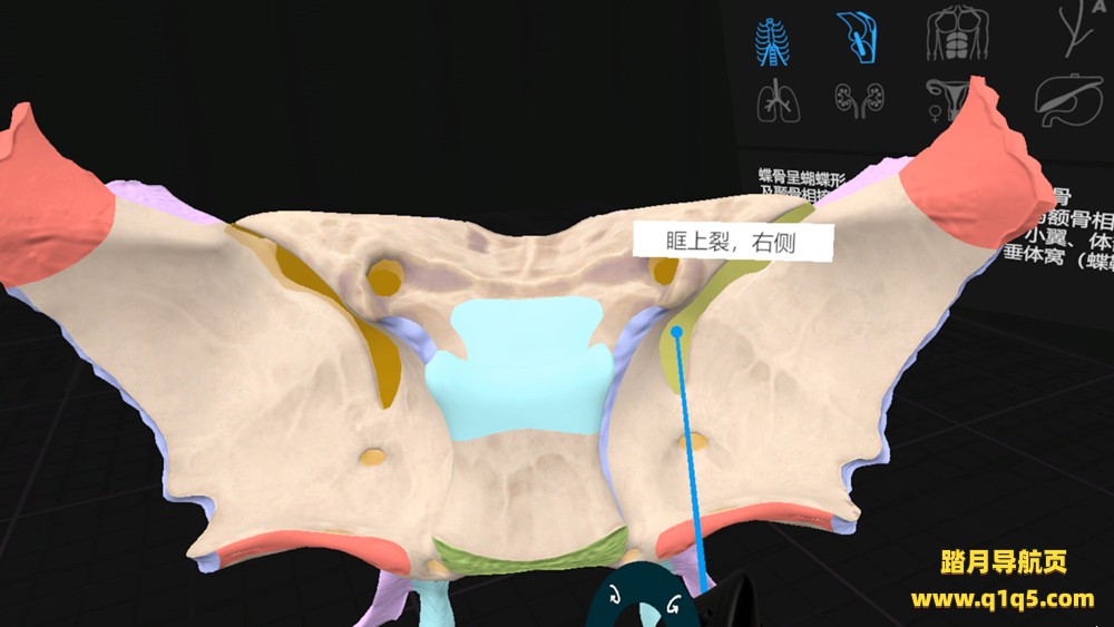 日常解剖 VR (Everyday Anatomy VR)