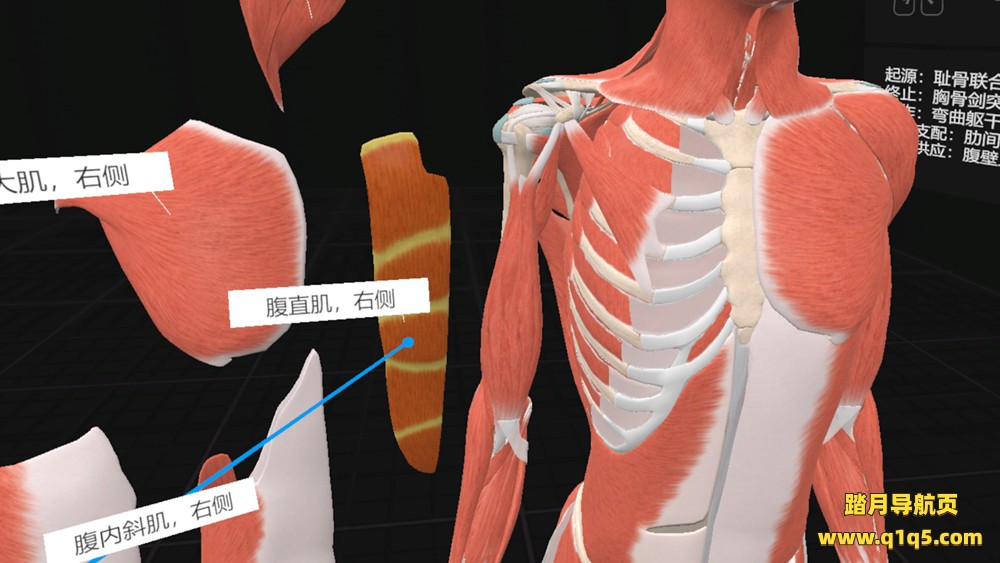 日常解剖 VR (Everyday Anatomy VR)