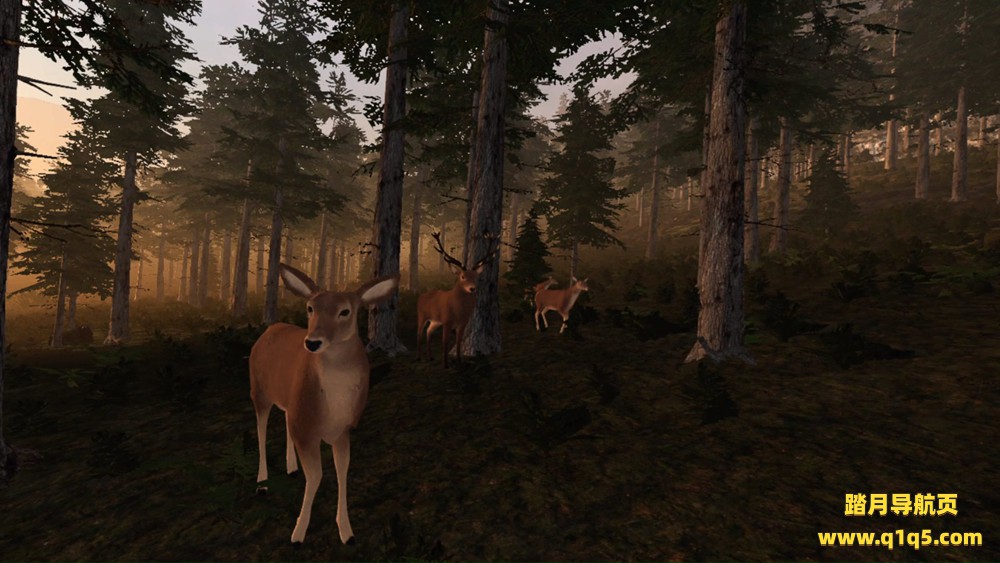 虚拟猎人 (Virtual Hunter)