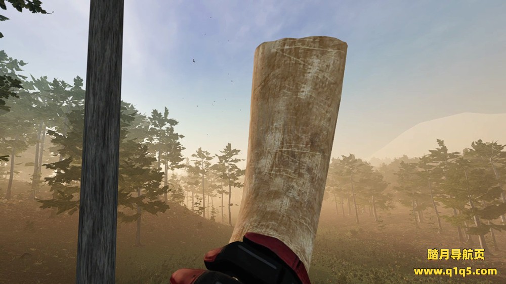 虚拟猎人 (Virtual Hunter)