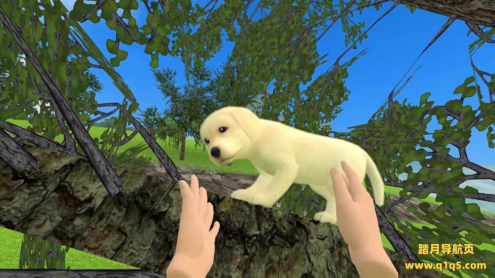 宠物岛屿 VR(Little Island)