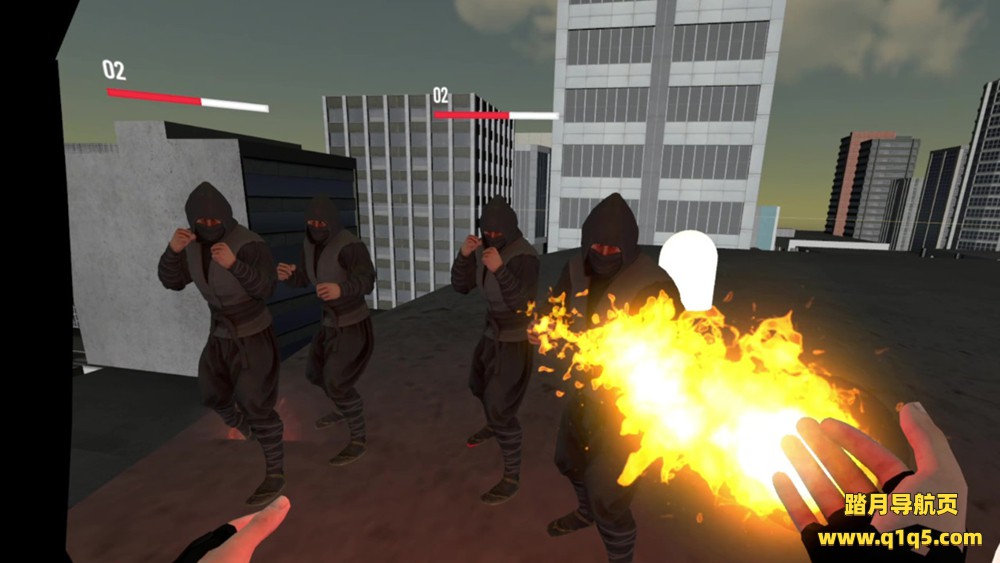 META 项目（Project META）