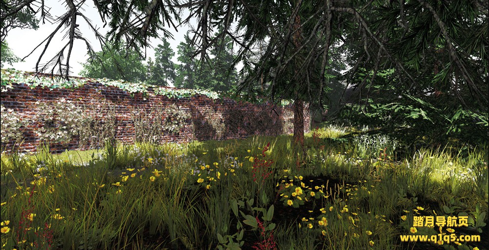 灌木丛：VR迷宫（Undergrowth- VR Maze）