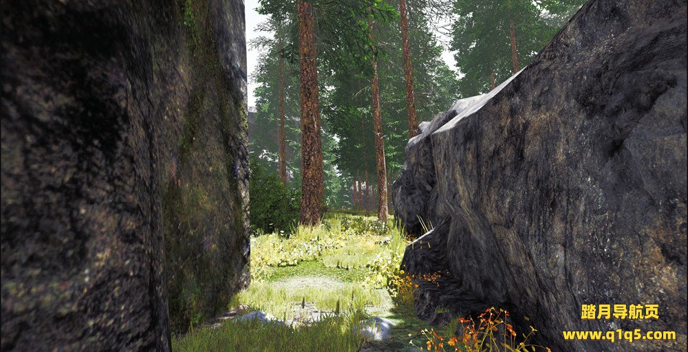 灌木丛：VR迷宫（Undergrowth- VR Maze）