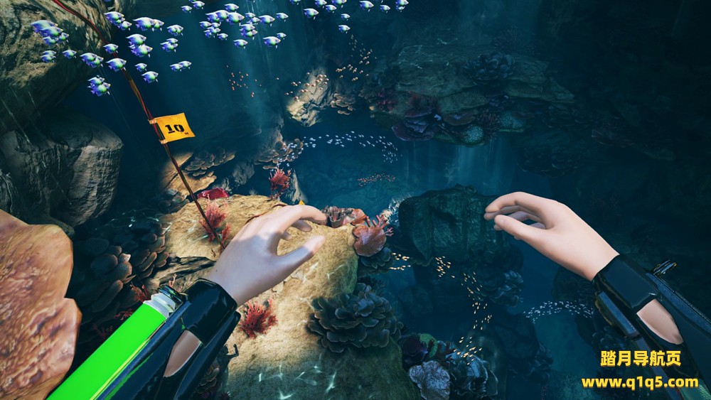 自由潜水员：水下求生（FREEDIVER- Triton Down）