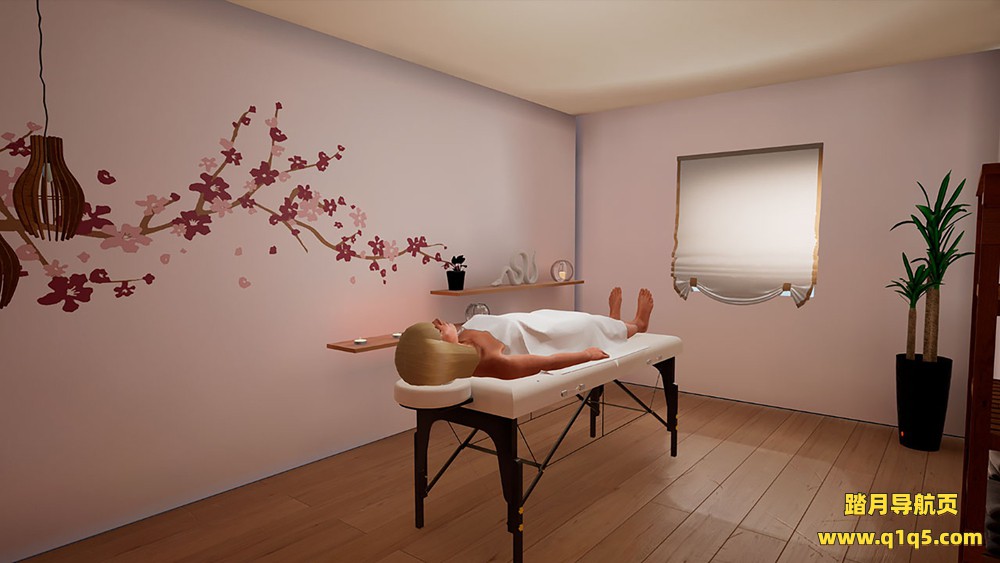 阿尔塔赖斯VR（Altarays）