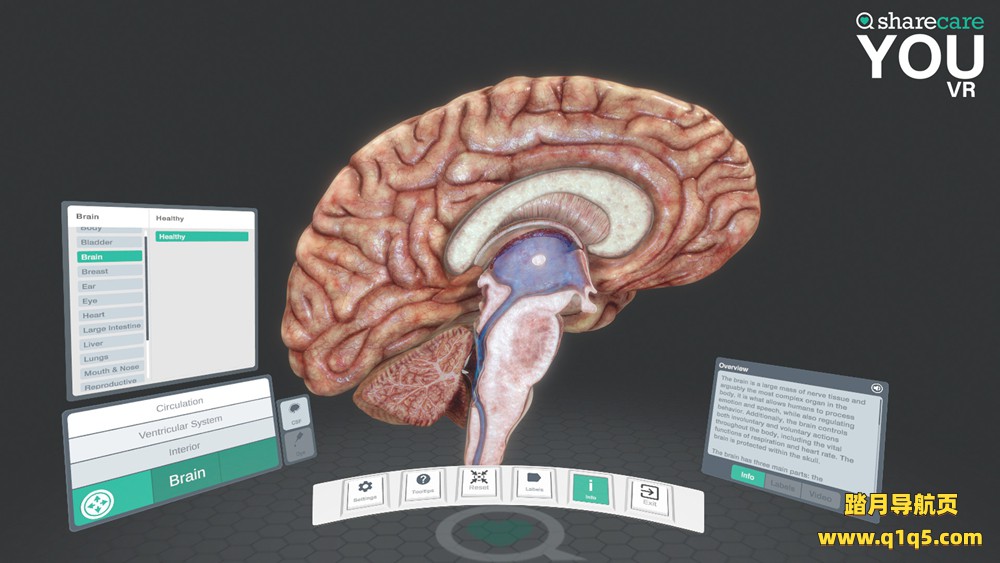 3D人体模拟（Sharecare YOU VR）