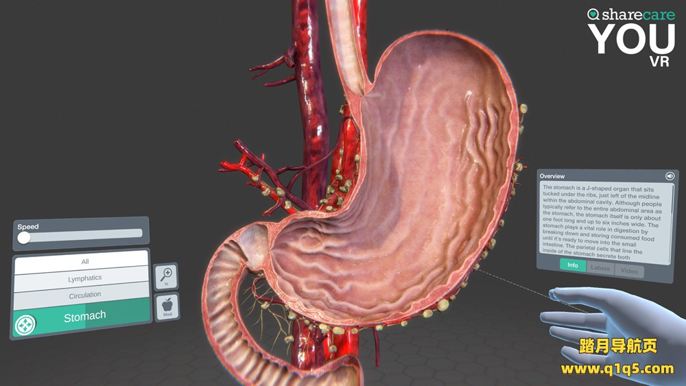 3D人体模拟（Sharecare YOU VR）