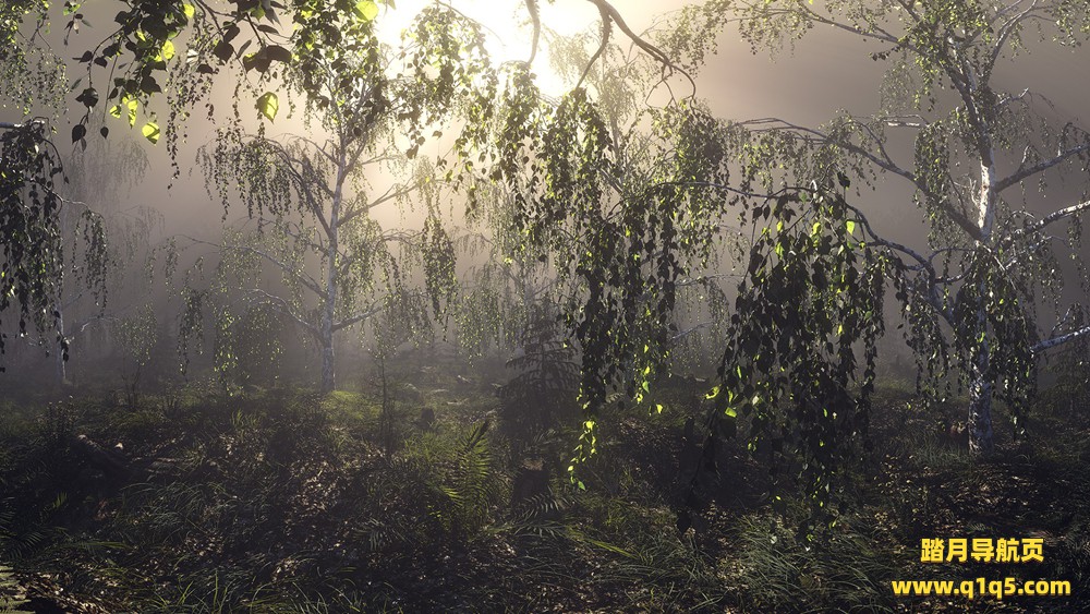 意识流:内在旅行(Conscious Existence – A Journey Within)