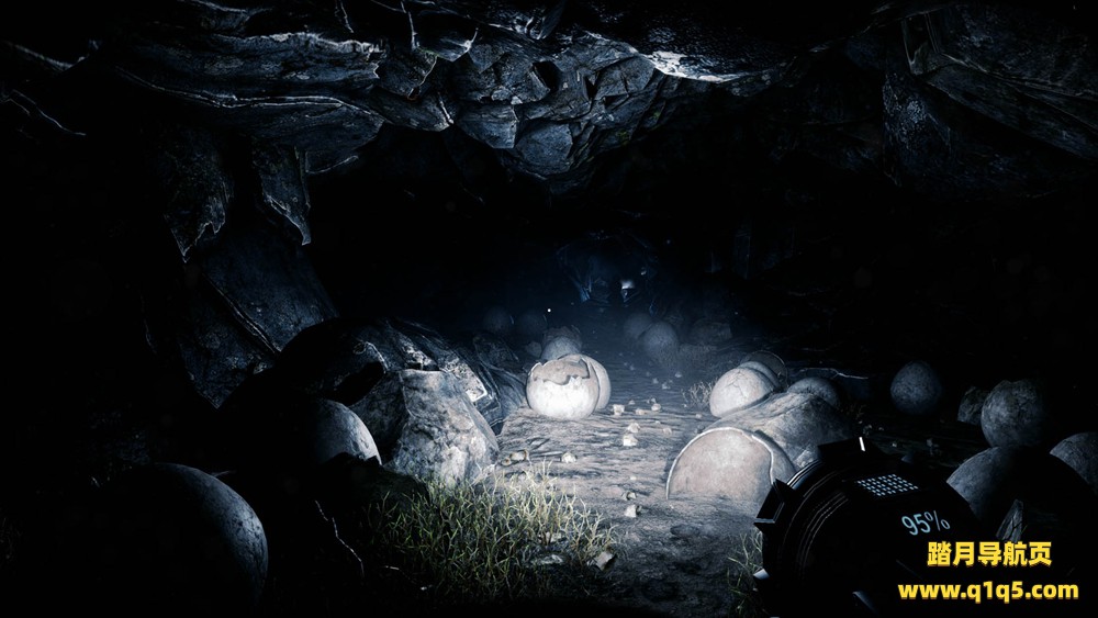 独自一人（The Solus Project）