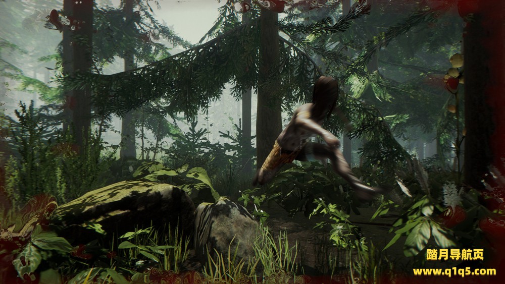 森林（The Forest）