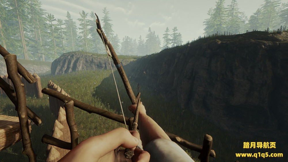 森林（The Forest）