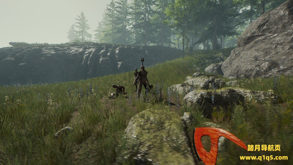 森林（The Forest）