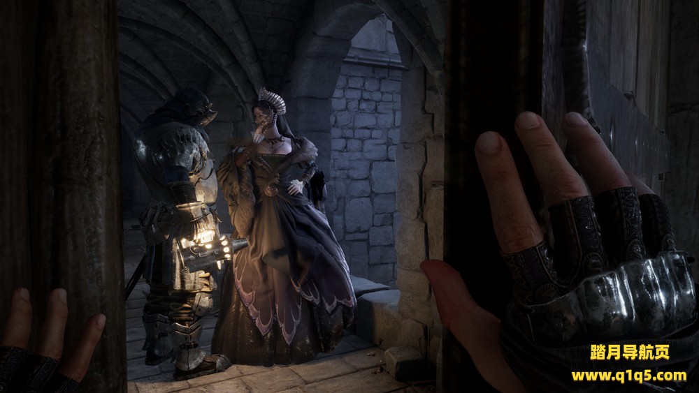 罗根-城堡中的小偷 (ROGAN- The Thief in the Castle)