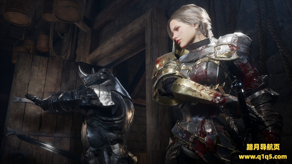 罗根-城堡中的小偷 (ROGAN- The Thief in the Castle)