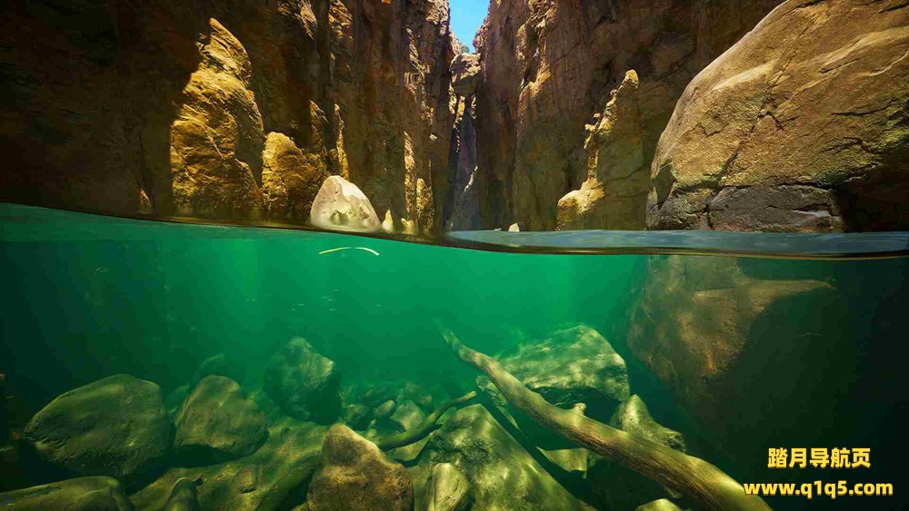 潜水VR（Subside VR）