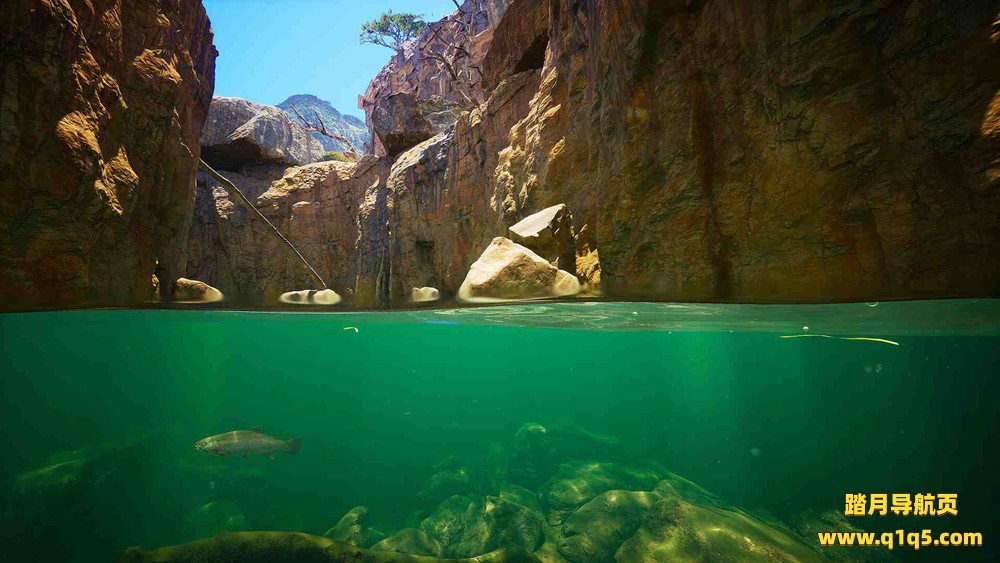 潜水VR（Subside VR）