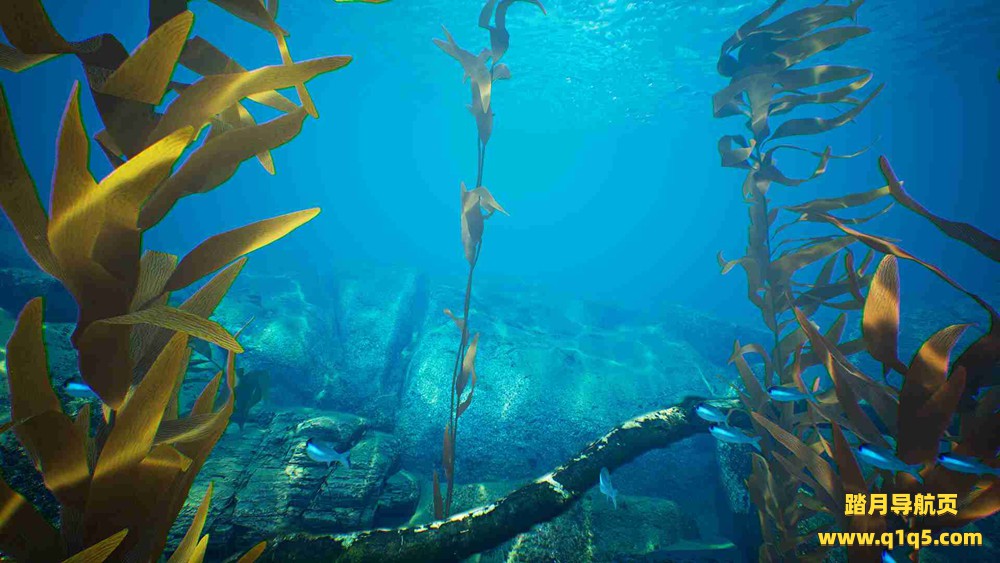 潜水VR（Subside VR）