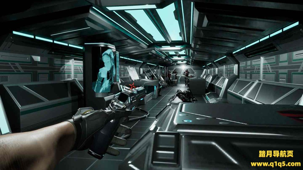 迪克索托米亚（Dixotomia）