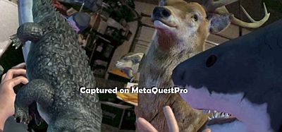 Meta Quest 游戏《陆地和海洋混合现实》Landz and Seaz Mixed Reality