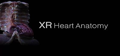 Oculus Quest 游戏《XR 心脏解剖》XR Heart Anatomy