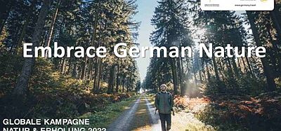 Oculus Quest 游戏《德国的自然体验》Nature Experience in Germany