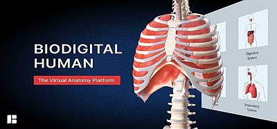 Oculus Quest 游戏《生物数字人》BioDigital Human