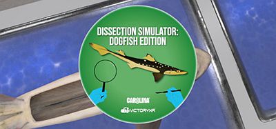 Oculus Quest 游戏《解剖模拟器 鲨鱼》Dissection Simulator- Shark Edition VR
