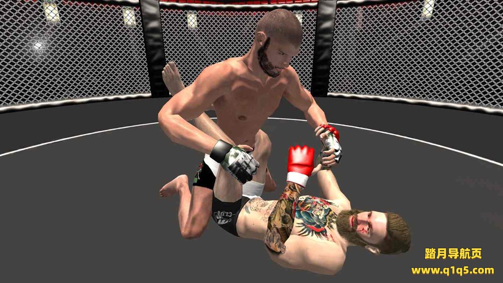 Meta Quest 游戏《VR拳击和格斗》VR Boxing And MMA