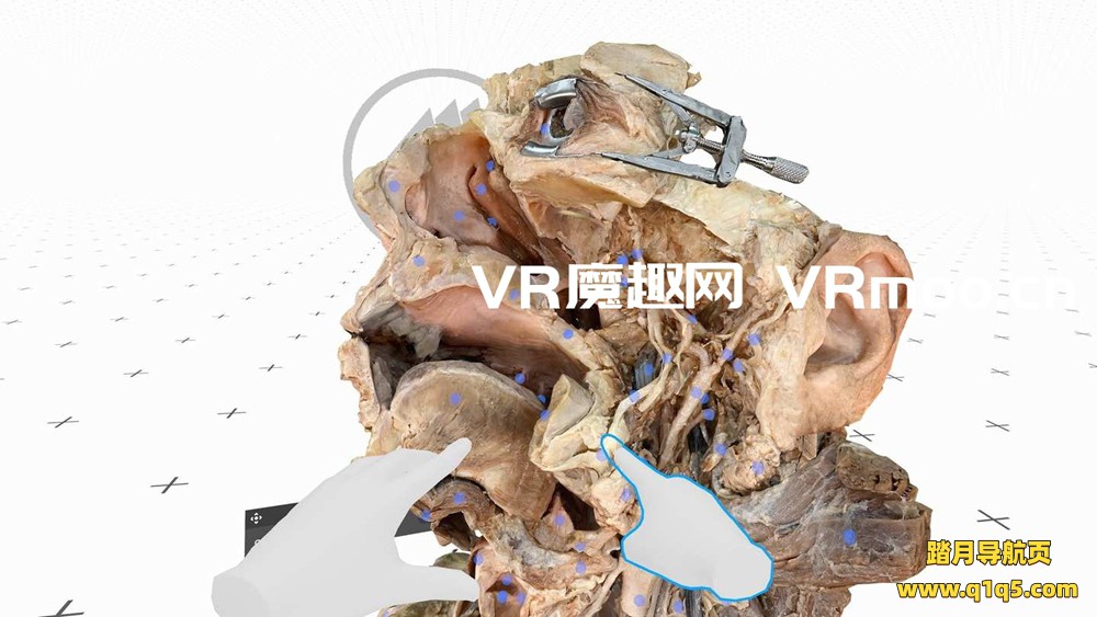 Oculus Quest 游戏《医疗全息甲板解剖大师 XR》Medicalholodeck is Dissection Master XR