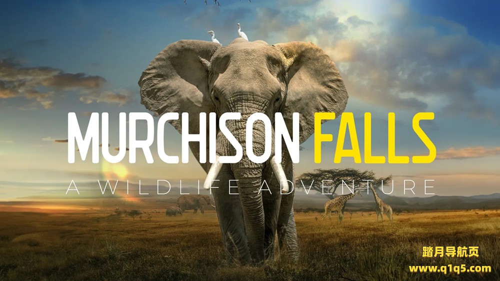 Meta Quest 游戏《野生动物探险之旅》Murchison Falls- The Awarded Wildlife Adventure with Elephants, Lions and Hyenas