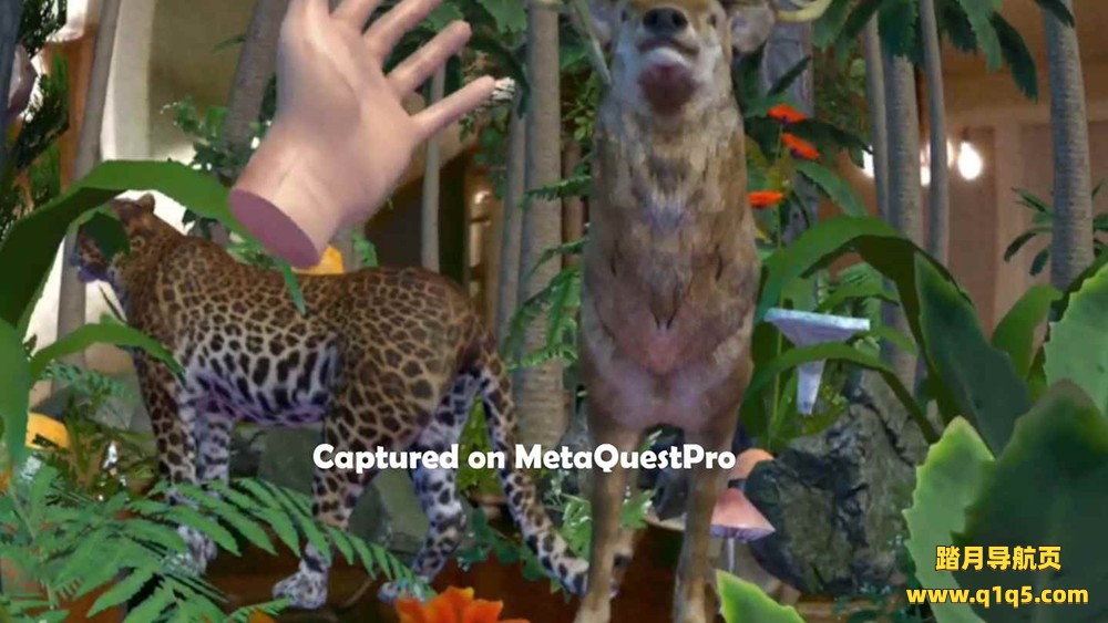 Oculus Quest 游戏《丛林穿越》Jungle Passthrough