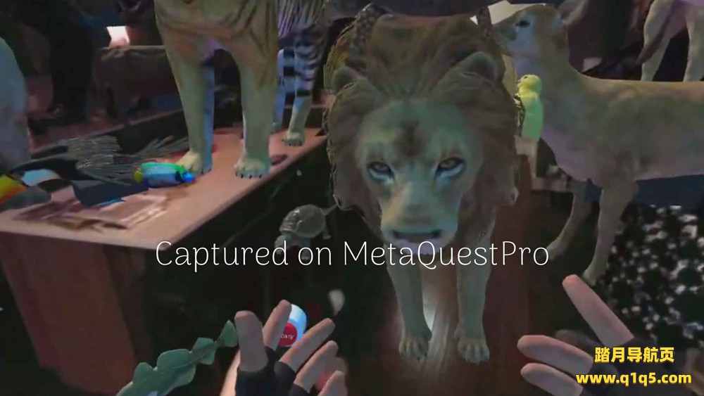 Oculus Quest 游戏《ZOSU 动物园之家通行证》ZOSU Zoo Home Passthrough