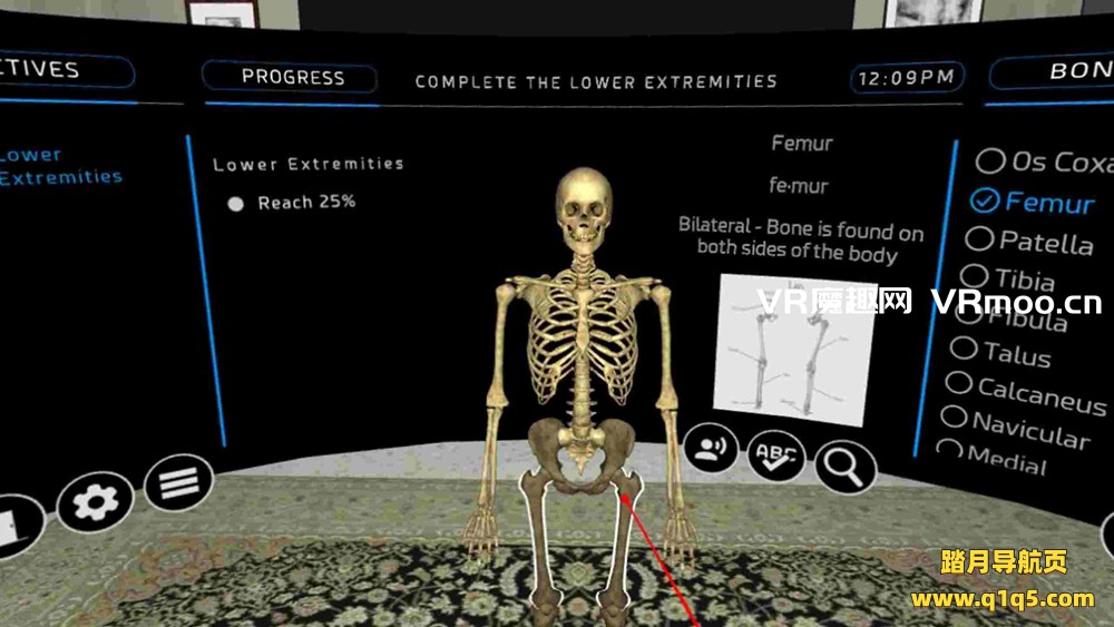 Oculus Quest 游戏《人体骨科 VR》Human Osteology VR