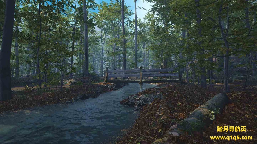 Meta Quest 游戏《大型猫科动物》Big Cat Rescue