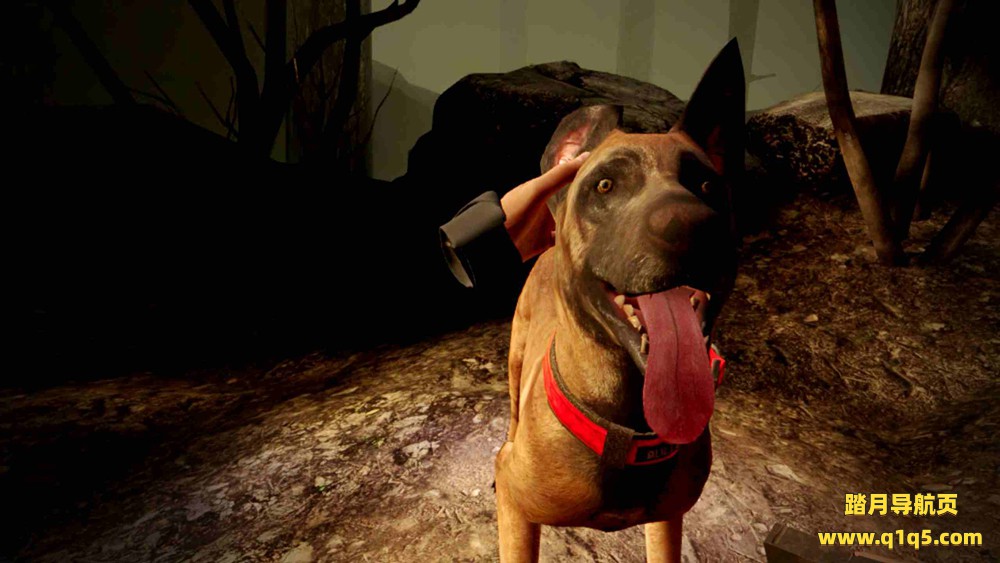 Oculus Quest 游戏《布莱尔女巫》Blair Witch- Oculus Quest Edition