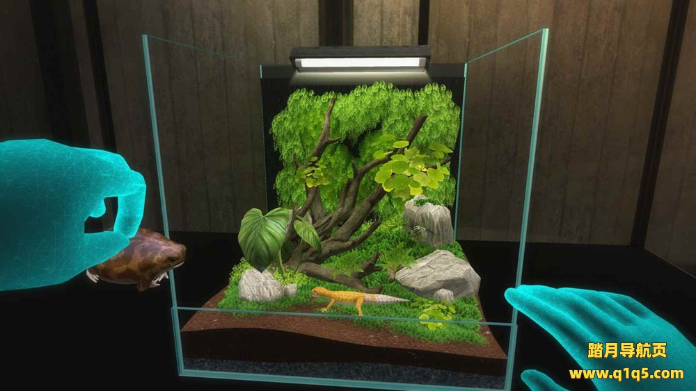Meta Quest 游戏《动物园》Vivarium