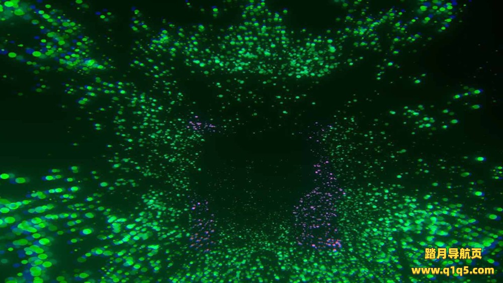 Oculus Quest 游戏《链接》The Link