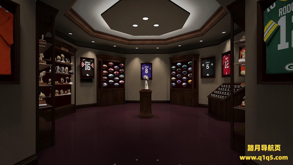 Oculus Quest 游戏《NFL职业时代》NFL PRO ERA