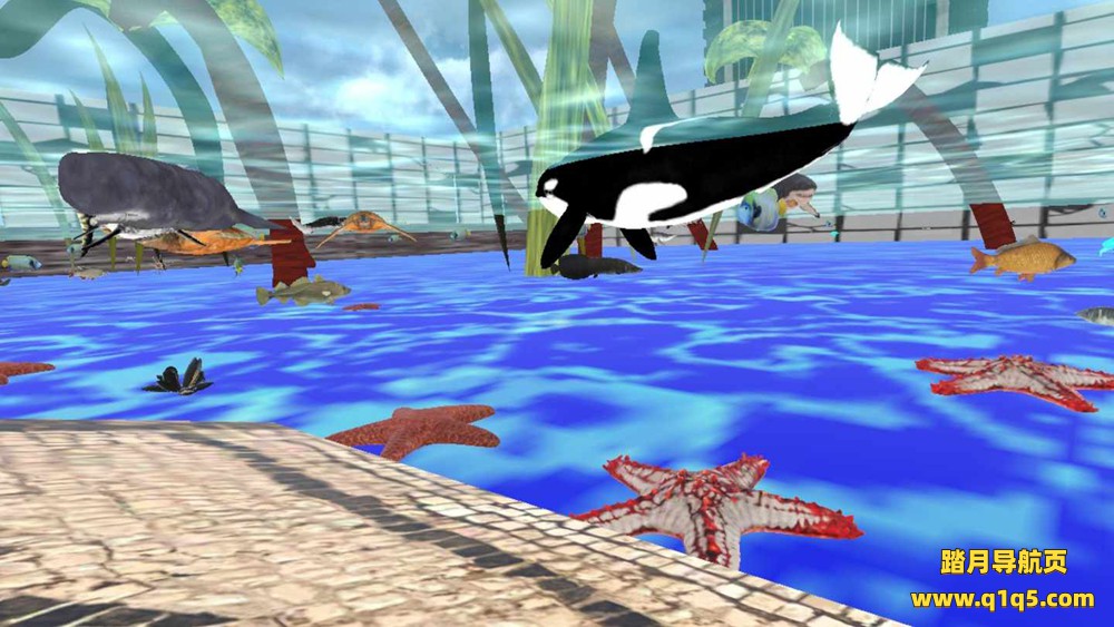 Oculus Quest 游戏《佐苏动物园》ZOSU Zoo VR