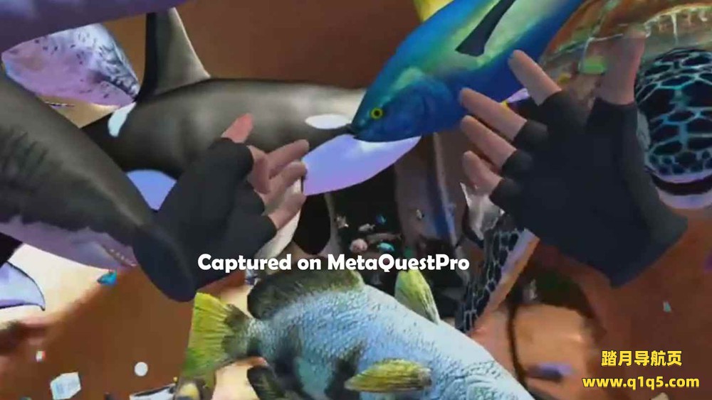 Meta Quest 游戏《陆地和海洋混合现实》Landz and Seaz Mixed Reality