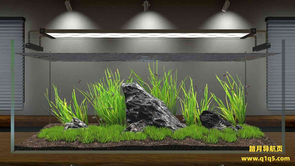 Oculus Quest 游戏《水族造景》Aquascape