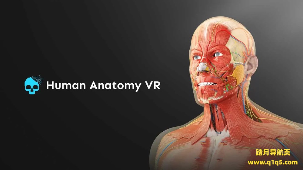 Oculus Quest 游戏《人体解剖VR》Human Anatomy VR
