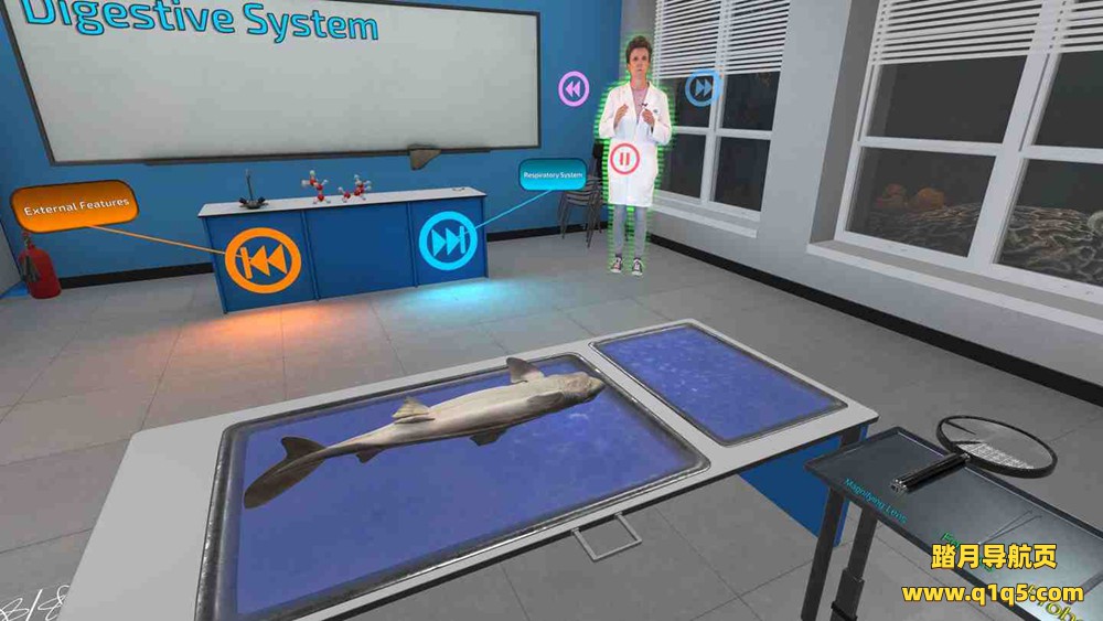 Oculus Quest 游戏《解剖模拟器 鲨鱼》Dissection Simulator- Shark Edition VR
