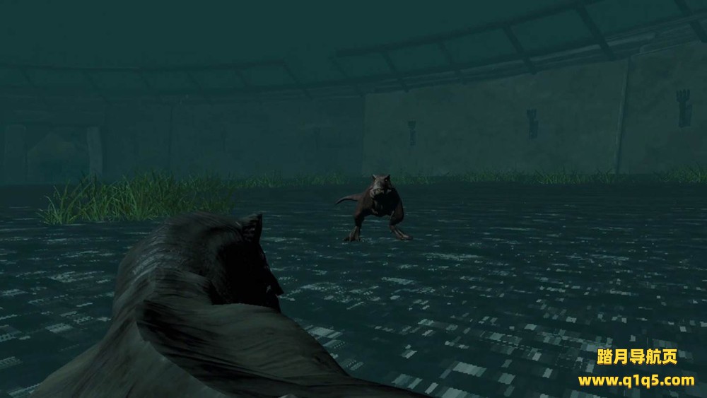 Oculus Quest 游戏《恐龙王》Dino Roaryal